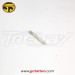 Silver Contact Screw